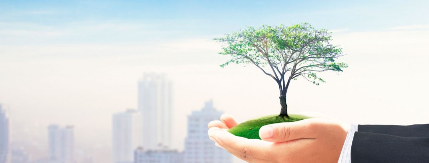gestionambiental_principal